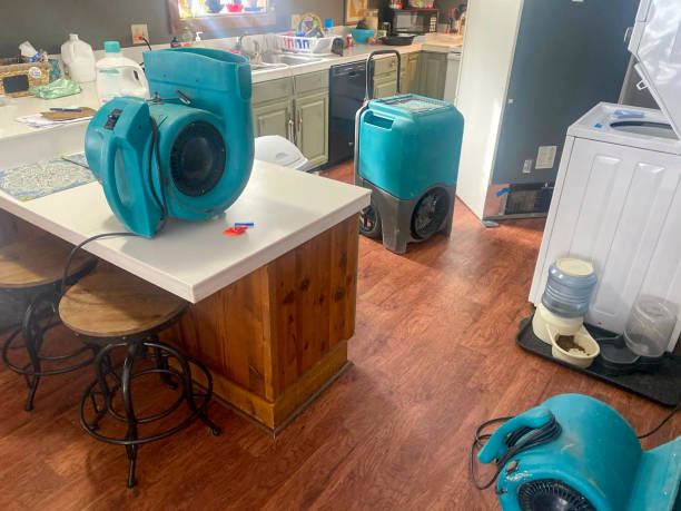 Best Water damage restoration mold remediation  in Sa Conejo, CA