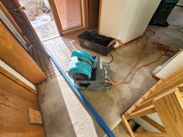 Best Flood restoration services  in Sa Conejo, CA