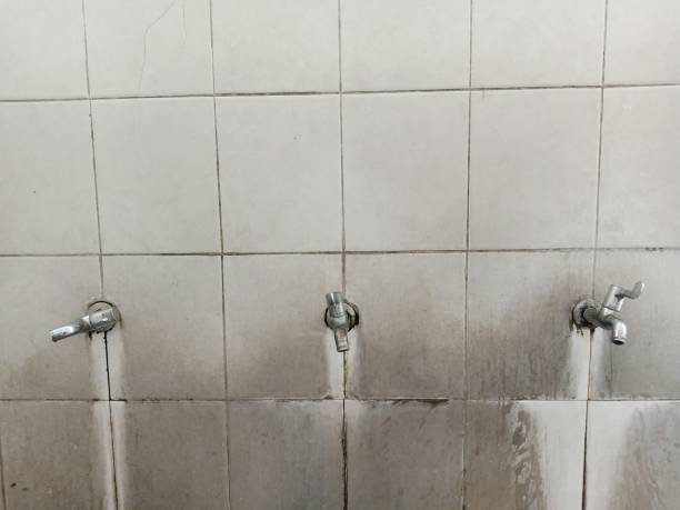 Best Local water damage restoration  in Sa Conejo, CA
