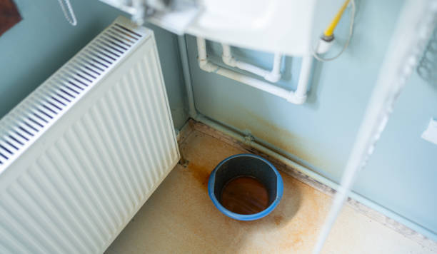 Best Mold removal after water damage  in Sa Conejo, CA