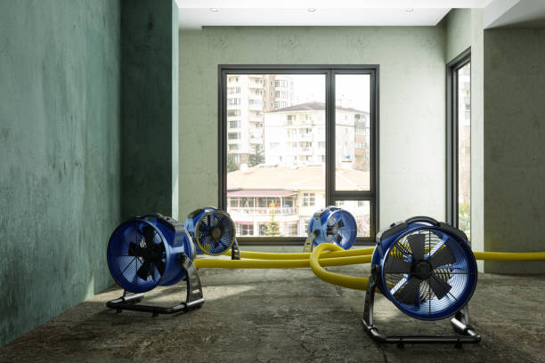 Trusted Casa Conejo, CA Water damage restoration Experts
